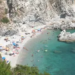 Casa Cobalto - Lascio Tutto Vivo A *