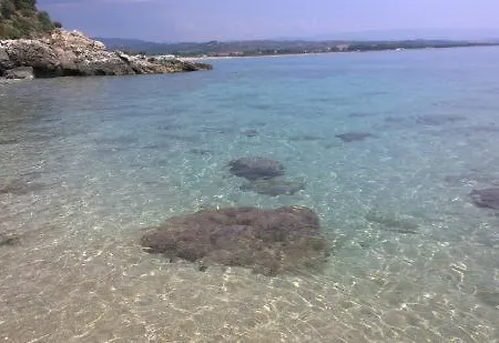 Casa Cobalto - Lascio Tutto Vivo A *