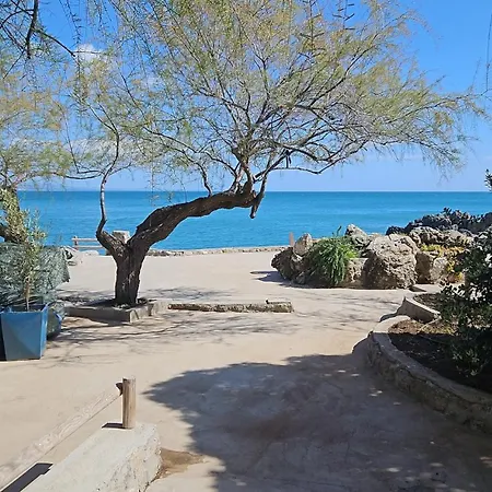 Casa Cobalto - Lascio Tutto Vivo A