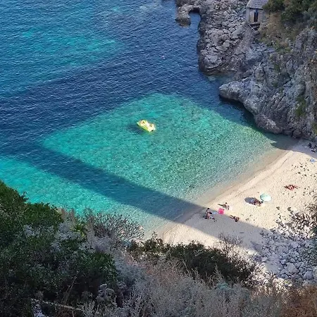 Casa Cobalto - Lascio Tutto Vivo A *